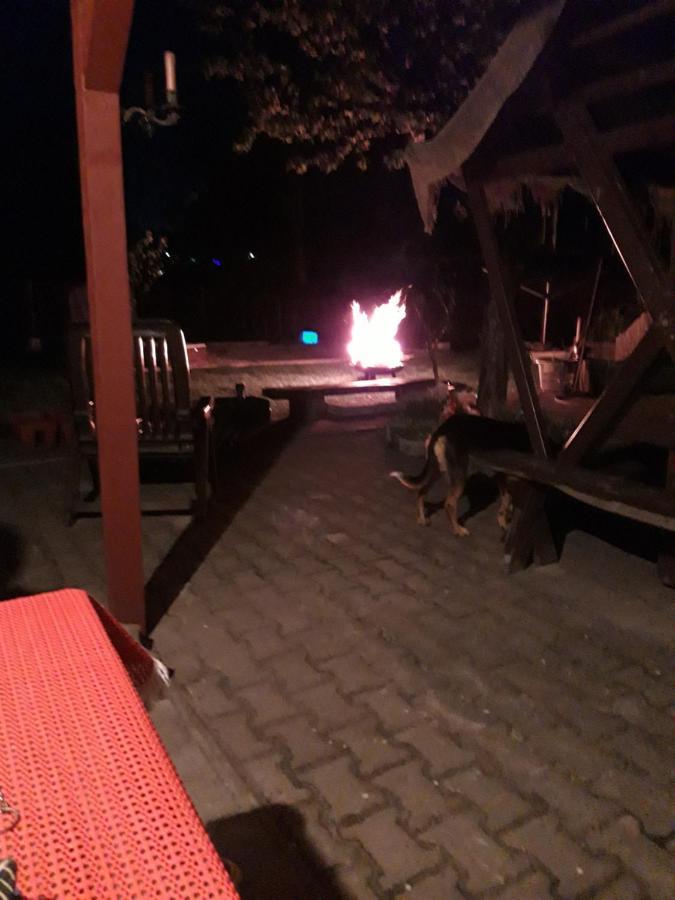 Ferienwohnung Erz-Hostel Thermalbad Wiesenbad Eksteriør bilde